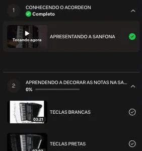 Lista de aulas na área de membros: Apresentando a sanfona, Teclas brancas e Teclas pretas
